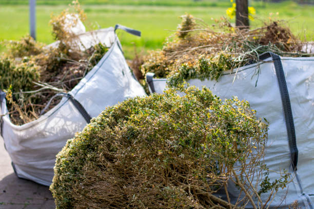 Best Household Junk Removal  in Vauxhall, NJ